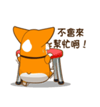 corgi hanji（個別スタンプ：34）