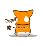 corgi hanji（個別スタンプ：39）