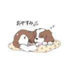 キャバリアのレオンくんと一緒！（個別スタンプ：3）