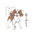 キャバリアのレオンくんと一緒！（個別スタンプ：5）