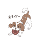 キャバリアのレオンくんと一緒！（個別スタンプ：12）