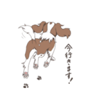 キャバリアのレオンくんと一緒！（個別スタンプ：13）
