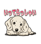 わんこ日和 ミニチュアダックスフンド仔犬（個別スタンプ：5）