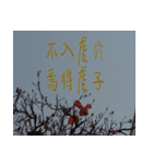 beautiful pictures:Chinese idioms（個別スタンプ：1）