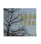 beautiful pictures:Chinese idioms（個別スタンプ：3）