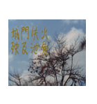 beautiful pictures:Chinese idioms（個別スタンプ：5）