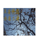 beautiful pictures:Chinese idioms（個別スタンプ：6）