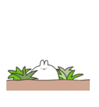 ゆるうさうささ②（個別スタンプ：24）