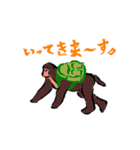 どりーむずぅ（個別スタンプ：3）