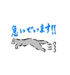どりーむずぅ（個別スタンプ：4）
