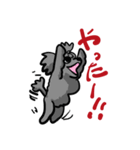 トイプー・カリスの日常（個別スタンプ：21）