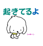 I am Reo☆かわいい白い犬（個別スタンプ：3）
