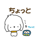 I am Reo☆かわいい白い犬（個別スタンプ：17）