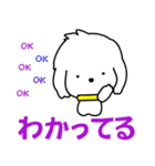 I am Reo☆かわいい白い犬（個別スタンプ：23）