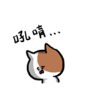 vicious cats（個別スタンプ：19）