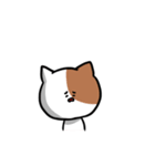 vicious cats（個別スタンプ：29）