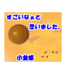 キンカンなやつ（ら）（個別スタンプ：23）