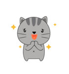 Little Cat sticker(eng)（個別スタンプ：20）