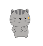 Little Cat sticker(eng)（個別スタンプ：24）