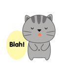 Little Cat sticker(eng)（個別スタンプ：27）