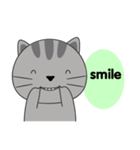 Little Cat sticker(eng)（個別スタンプ：32）