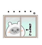 玉/たま/タマちゃん専用なまえ名前スタンプ（個別スタンプ：5）