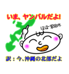 絶対使える沖縄方言。琉球語。うちなー語。（個別スタンプ：16）