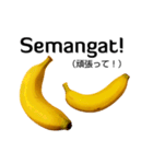 動く！魔法のバナナ(インドネシア語)（個別スタンプ：14）