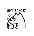 すごく普通な白わんこ（個別スタンプ：13）