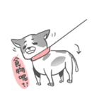 私はMochi です！！（個別スタンプ：2）
