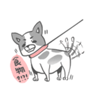 私はMochi です！！（個別スタンプ：3）