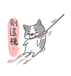 私はMochi です！！（個別スタンプ：5）