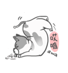 私はMochi です！！（個別スタンプ：15）