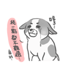 私はMochi です！！（個別スタンプ：17）