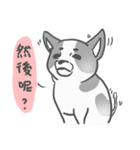 私はMochi です！！（個別スタンプ：18）