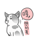 私はMochi です！！（個別スタンプ：34）