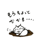 ぶたねこショコラ（個別スタンプ：31）