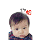 Vincent II（個別スタンプ：26）