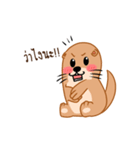 Lotto Ms.Otter（個別スタンプ：9）