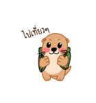 Lotto Ms.Otter（個別スタンプ：22）