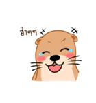 Lotto Ms.Otter（個別スタンプ：40）
