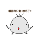 Daily Eggs（個別スタンプ：8）