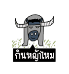 Mr.Kung（個別スタンプ：25）