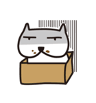 Danny the cat（個別スタンプ：9）