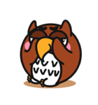 O＆D-01-Shawn（個別スタンプ：11）