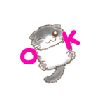スコティッシュフォールド K（個別スタンプ：28）