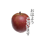 りんごの写真スタンプ（個別スタンプ：1）