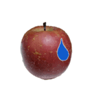 りんごの写真スタンプ（個別スタンプ：4）