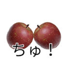 りんごの写真スタンプ（個別スタンプ：5）