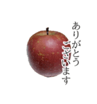 りんごの写真スタンプ（個別スタンプ：7）